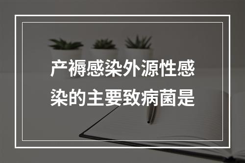 产褥感染外源性感染的主要致病菌是