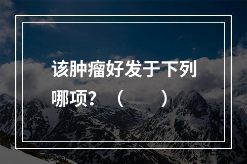 该肿瘤好发于下列哪项？（　　）