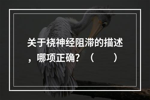 关于桡神经阻滞的描述，哪项正确？（　　）