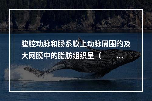 腹腔动脉和肠系膜上动脉周围的及大网膜中的脂肪组织呈（　　）。