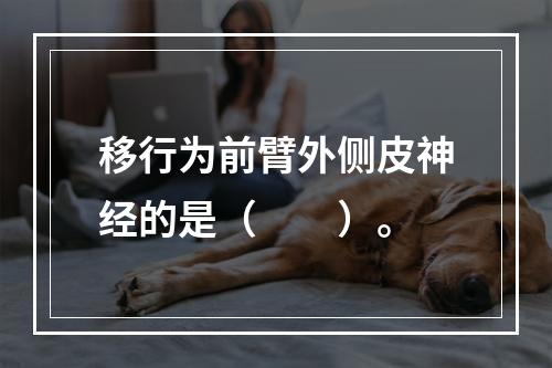 移行为前臂外侧皮神经的是（　　）。