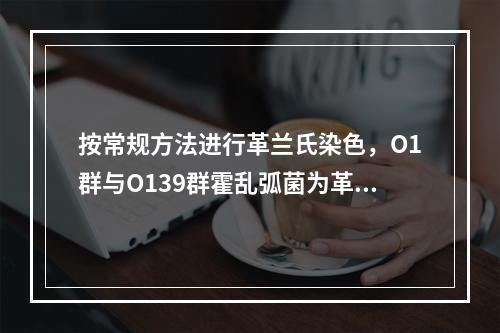 按常规方法进行革兰氏染色，O1群与O139群霍乱弧菌为革兰氏