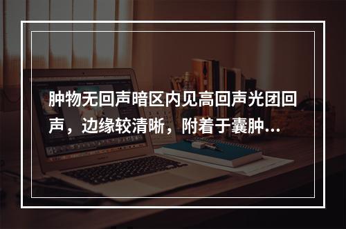 肿物无回声暗区内见高回声光团回声，边缘较清晰，附着于囊肿壁一