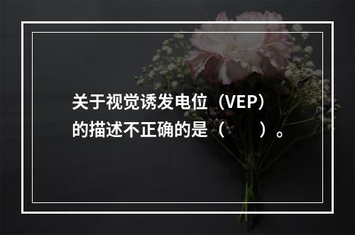 关于视觉诱发电位（VEP）的描述不正确的是（　　）。