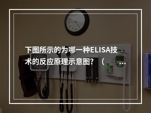 下图所示的为哪一种ELISA技术的反应原理示意图？（　　）