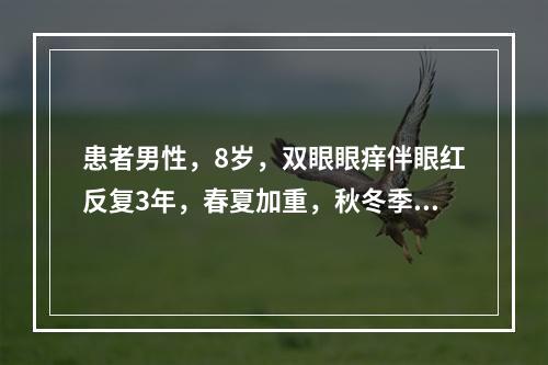 患者男性，8岁，双眼眼痒伴眼红反复3年，春夏加重，秋冬季缓解