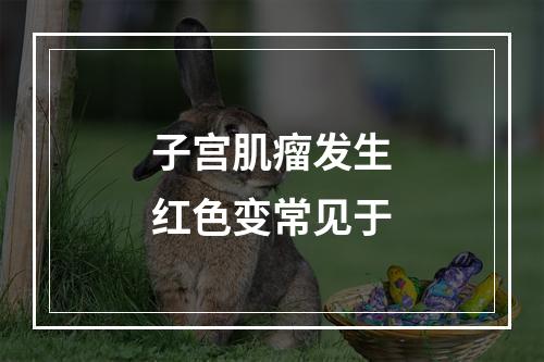 子宫肌瘤发生红色变常见于