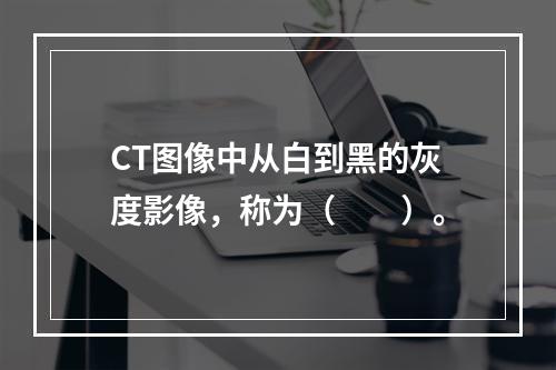 CT图像中从白到黑的灰度影像，称为（　　）。