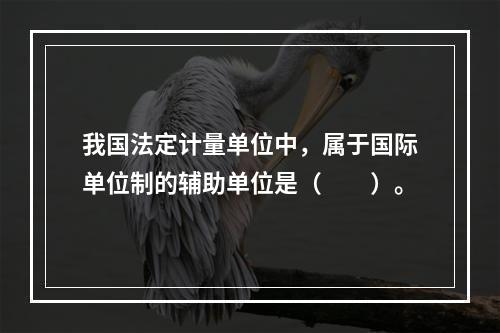 我国法定计量单位中，属于国际单位制的辅助单位是（　　）。