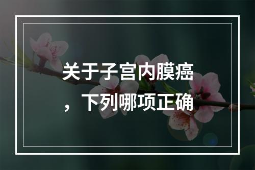 关于子宫内膜癌，下列哪项正确