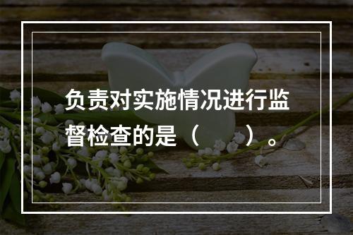 负责对实施情况进行监督检查的是（　　）。