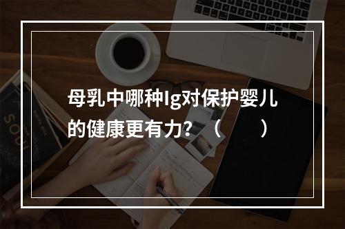 母乳中哪种Ig对保护婴儿的健康更有力？（　　）