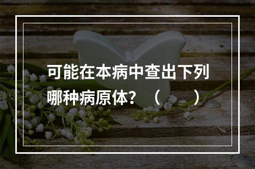 可能在本病中查出下列哪种病原体？（　　）