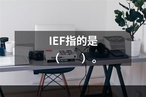 IEF指的是（　　）。