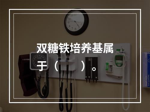 双糖铁培养基属于（　　）。