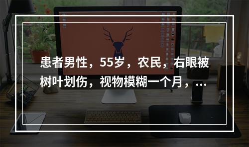 患者男性，55岁，农民，右眼被树叶划伤，视物模糊一个月，查：