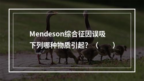 Mendeson综合征因误吸下列哪种物质引起？（　　）