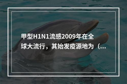 甲型H1N1流感2009年在全球大流行，其始发疫源地为（　　