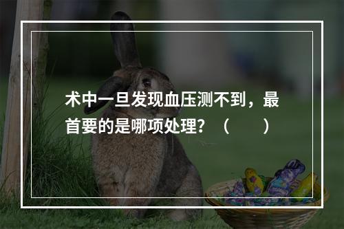 术中一旦发现血压测不到，最首要的是哪项处理？（　　）