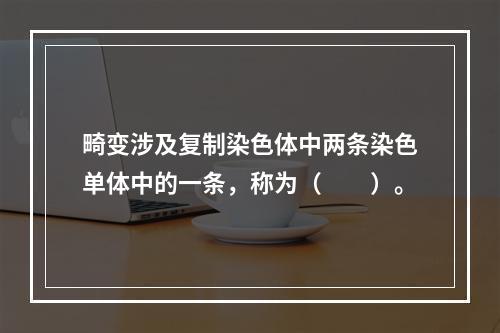 畸变涉及复制染色体中两条染色单体中的一条，称为（　　）。