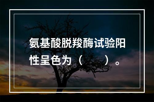 氨基酸脱羧酶试验阳性呈色为（　　）。