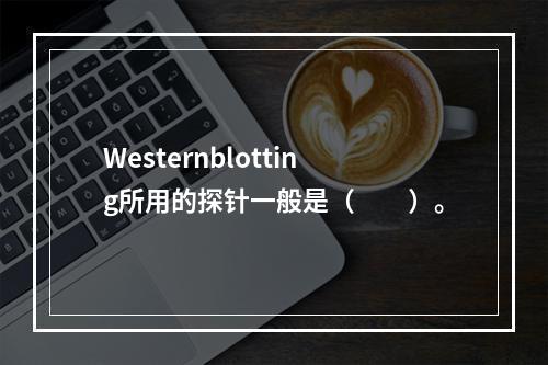 Westernblotting所用的探针一般是（　　）。