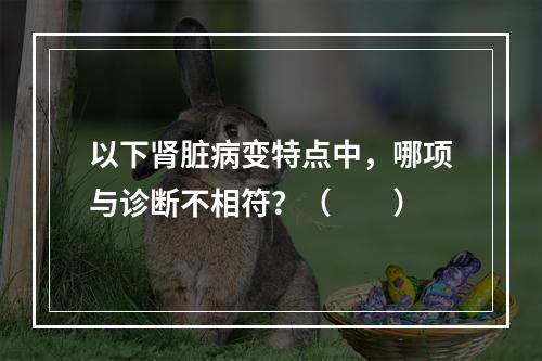 以下肾脏病变特点中，哪项与诊断不相符？（　　）