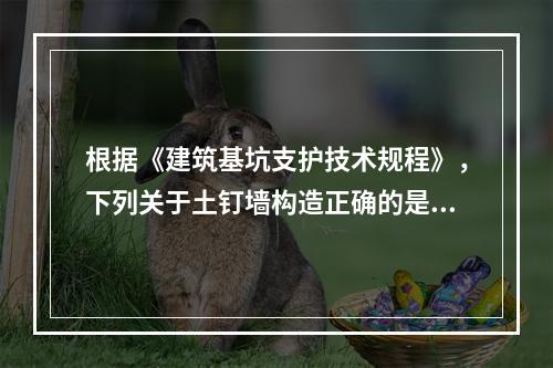 根据《建筑基坑支护技术规程》，下列关于土钉墙构造正确的是（　