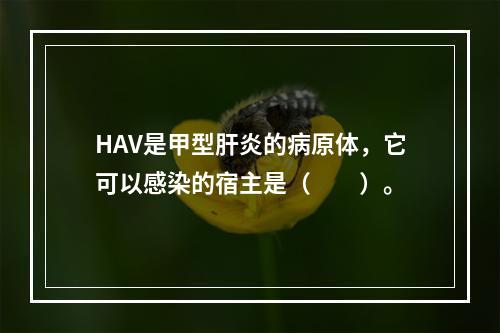 HAV是甲型肝炎的病原体，它可以感染的宿主是（　　）。