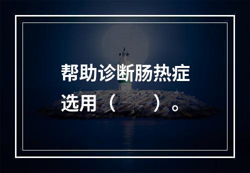 帮助诊断肠热症选用（　　）。