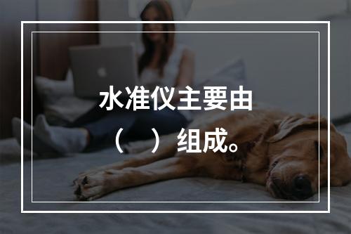 水准仪主要由（　）组成。