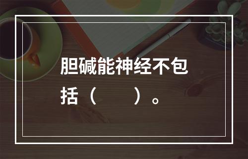 胆碱能神经不包括（　　）。