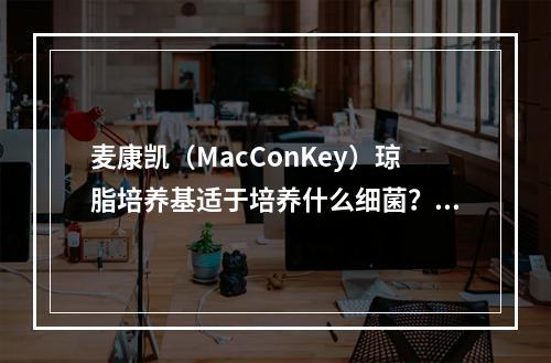 麦康凯（MacConKey）琼脂培养基适于培养什么细菌？（　