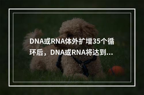 DNA或RNA体外扩增35个循环后，DNA或RNA将达到（