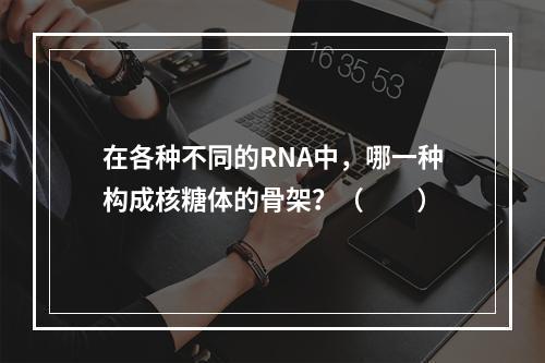 在各种不同的RNA中，哪一种构成核糖体的骨架？（　　）