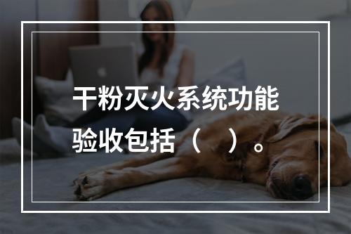 干粉灭火系统功能验收包括（　）。