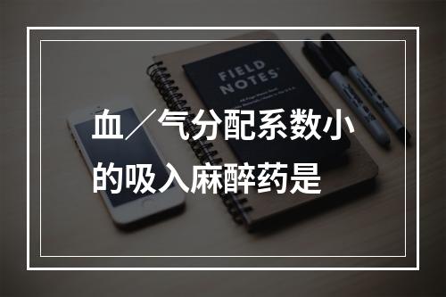 血／气分配系数小的吸入麻醉药是