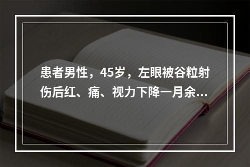 患者男性，45岁，左眼被谷粒射伤后红、痛、视力下降一月余。眼