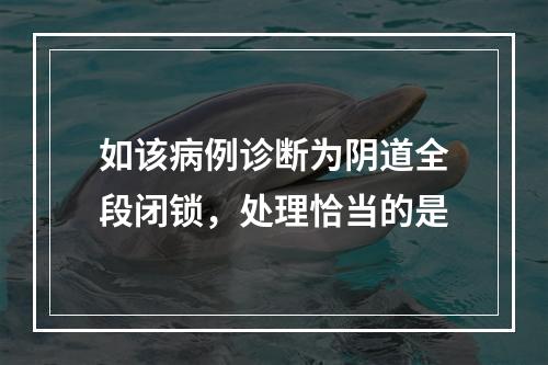 如该病例诊断为阴道全段闭锁，处理恰当的是