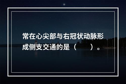 常在心尖部与右冠状动脉形成侧支交通的是（　　）。