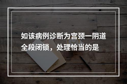 如该病例诊断为宫颈一阴道全段闭锁，处理恰当的是