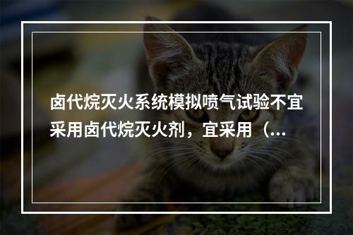 卤代烷灭火系统模拟喷气试验不宜采用卤代烷灭火剂，宜采用（　）