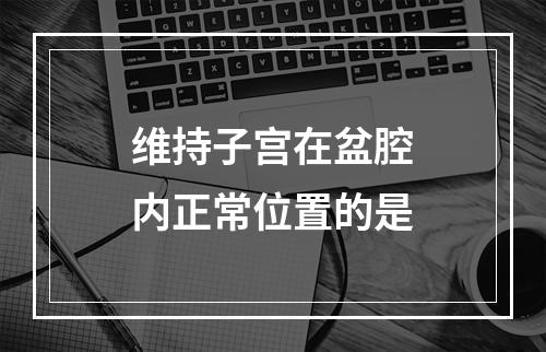 维持子宫在盆腔内正常位置的是