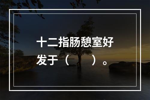 十二指肠憩室好发于（　　）。