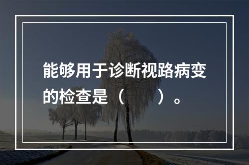 能够用于诊断视路病变的检查是（　　）。