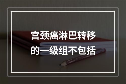 宫颈癌淋巴转移的一级组不包括