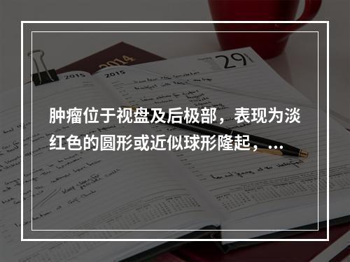 肿瘤位于视盘及后极部，表现为淡红色的圆形或近似球形隆起，也可