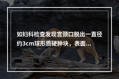 如妇科检查发现宫颈口脱出一直径约3cm球形质硬肿块，表面局部