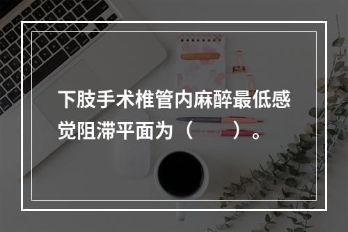 下肢手术椎管内麻醉最低感觉阻滞平面为（　　）。