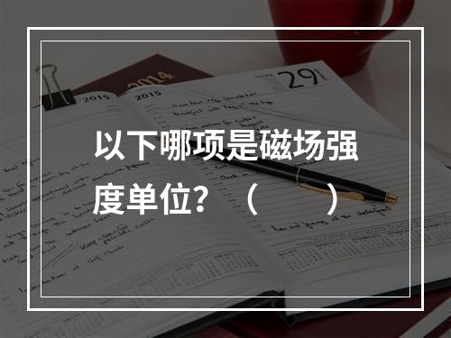 以下哪项是磁场强度单位？（　　）